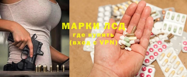 гидра Долгопрудный