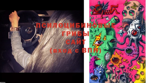 ПСИЛОЦИБИНОВЫЕ ГРИБЫ Надым