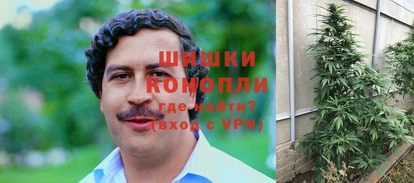 ПСИЛОЦИБИНОВЫЕ ГРИБЫ Надым