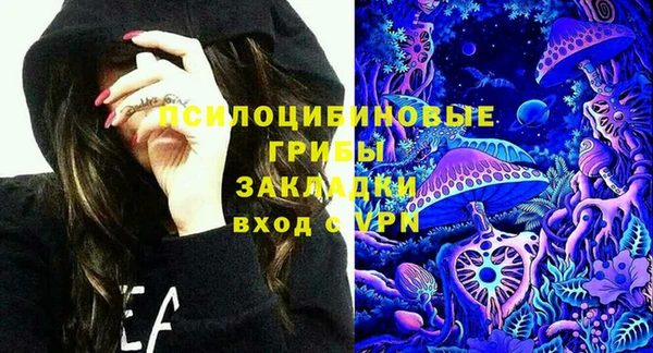 шишки Бородино