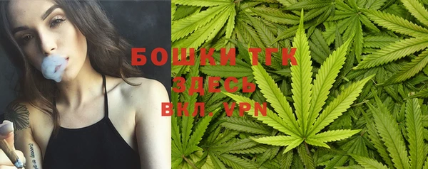 ПСИЛОЦИБИНОВЫЕ ГРИБЫ Навашино